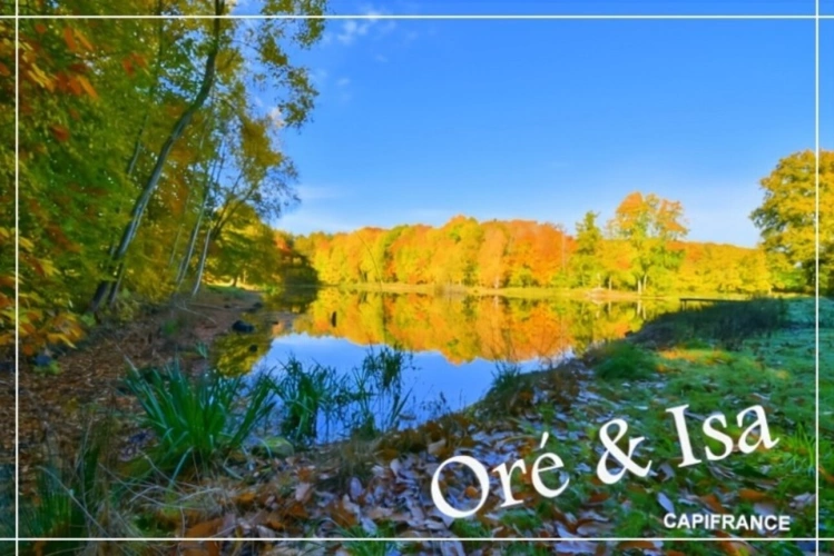 Photos 26 - Foncière - Etang et Terrain à vendre de 49 655,00 m² SAINT DESIRE (03)