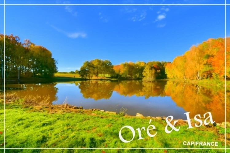 Photos 27 - Foncière - Etang et Terrain à vendre de 49 655,00 m² SAINT DESIRE (03)