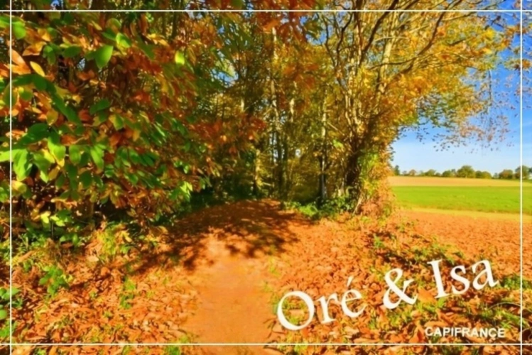 Photos 28 - Foncière - Etang et Terrain à vendre de 49 655,00 m² SAINT DESIRE (03)