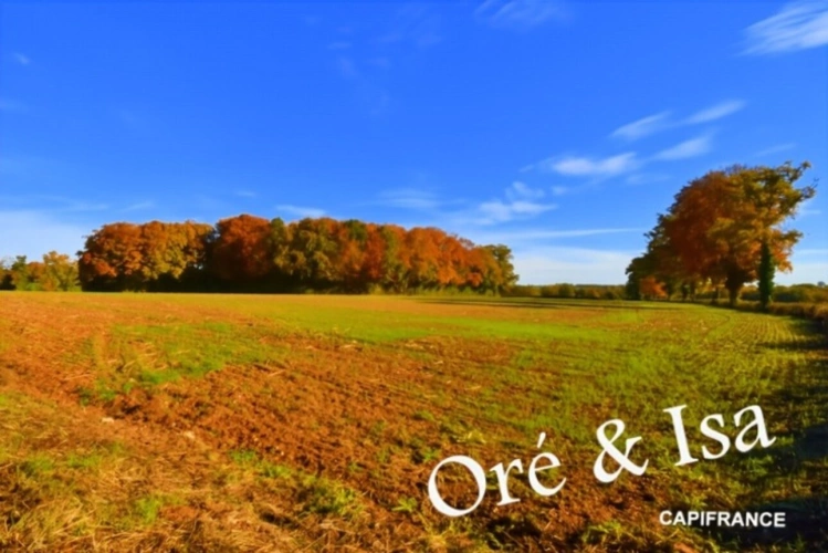 Photos 29 - Foncière - Etang et Terrain à vendre de 49 655,00 m² SAINT DESIRE (03)