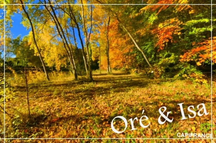 Photos 31 - Foncière - Etang et Terrain à vendre de 49 655,00 m² SAINT DESIRE (03)