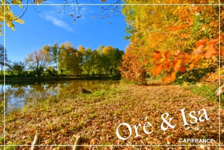 Photos 32 - Foncière - Etang et Terrain à vendre de 49 655,00 m² SAINT DESIRE (03)