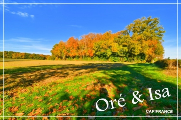 Photos 34 - Foncière - Etang et Terrain à vendre de 49 655,00 m² SAINT DESIRE (03)