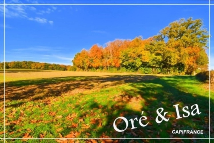 Photos 35 - Foncière - Etang et Terrain à vendre de 49 655,00 m² SAINT DESIRE (03)