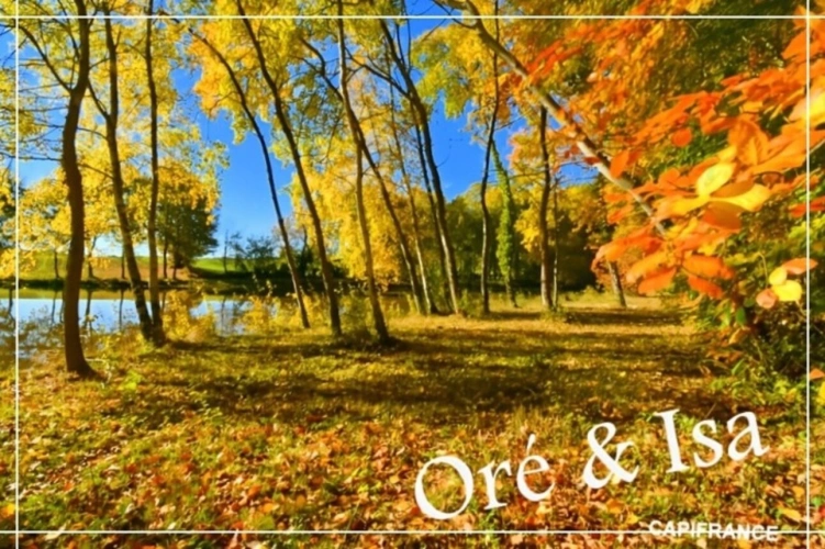 Photos 36 - Foncière - Etang et Terrain à vendre de 49 655,00 m² SAINT DESIRE (03)