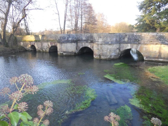 Photos 5 - Prestige - Moulin