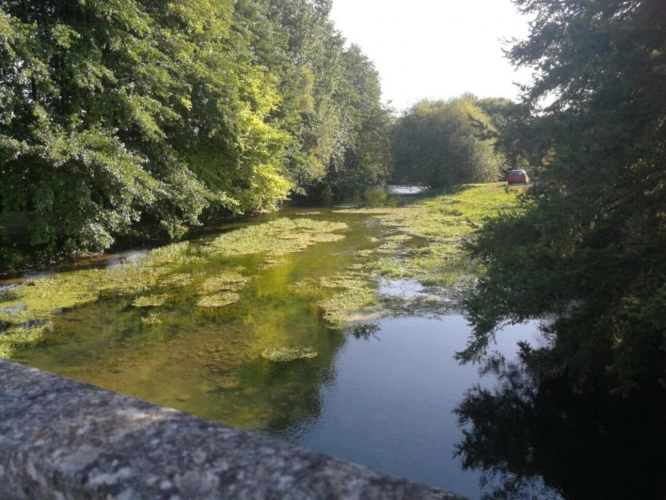 Photos 19 - Prestige - Moulin