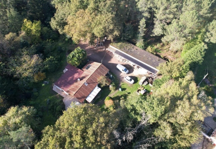 Photos 9 - Équestre - Terrain boisé – forêt