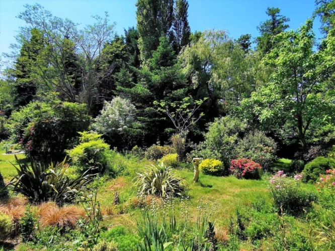 Photos 11 - Équestre - Terrain boisé – forêt