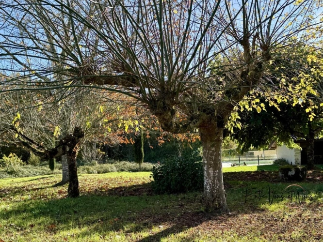 Photos 23 - Prestige - « Panorama, pierre et silence : le luxe authentique. »