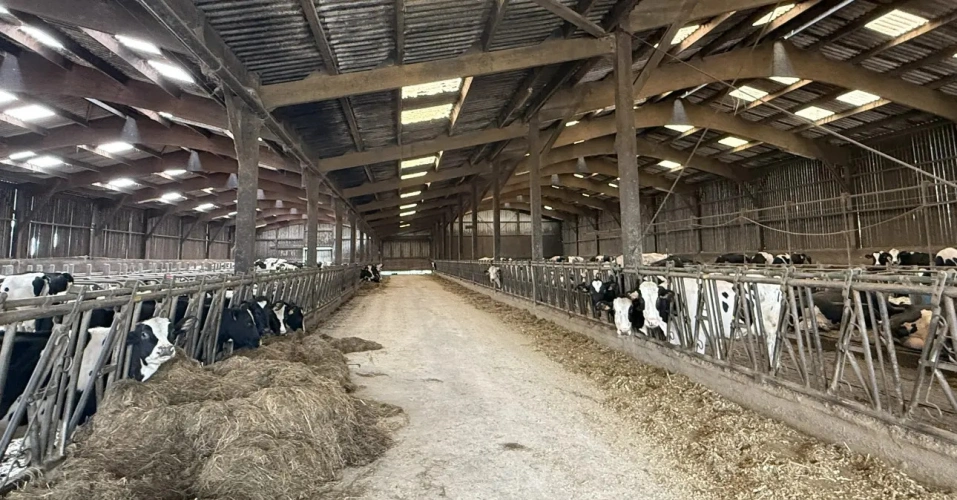 Photos 2 - Agricole - NORMANDIE – MANCHE – EXPLOITATION LAITIERE SPECIALISEE D’ENVIRON 170 HECTARES ET 1.500.000 LITRES.