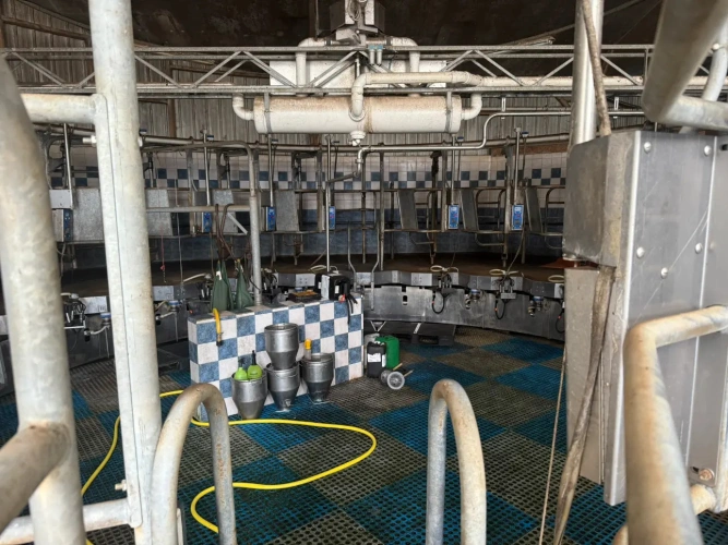 Photos 3 - Agricole - NORMANDIE – MANCHE – EXPLOITATION LAITIERE SPECIALISEE D’ENVIRON 170 HECTARES ET 1.500.000 LITRES.