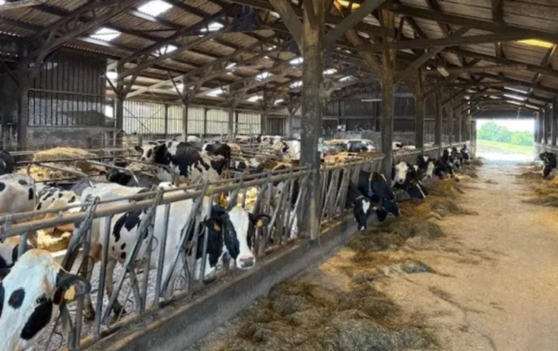 Photos 5 - Agricole - BRETAGNE- FINISTERE – EXPLOITATION AGRICOLE LAITIERE, AVICOLE ET CULTURES D’ENVIRON 126 HECTARES.