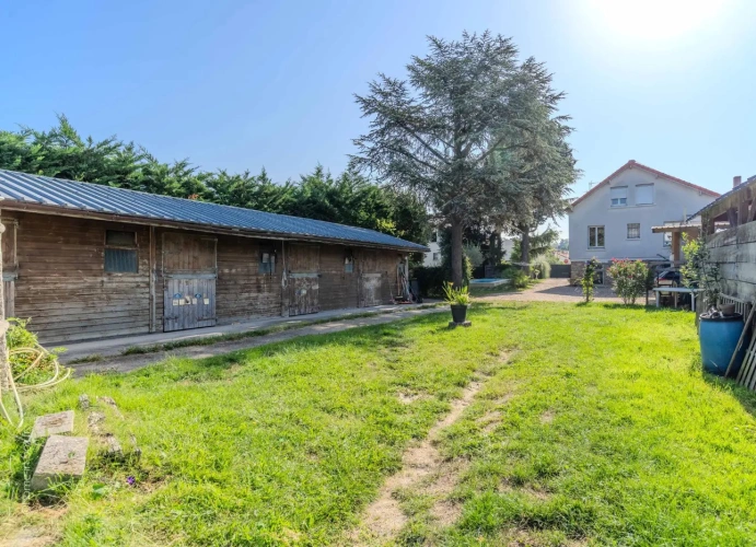 Photos 2 - Équestre - Vivre et travailler avec vos chevaux en centre-ville