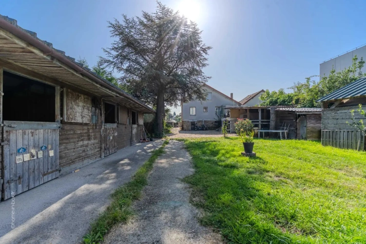 Photos 3 - Équestre - Vivre et travailler avec vos chevaux en centre-ville