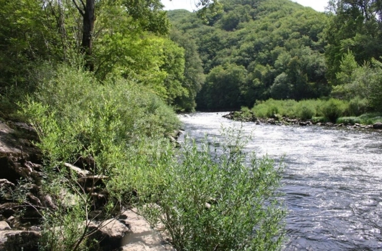Photos 30 - Prestige - Propriété du XV siècle - Sur les hauteurs du Lot - Chambres d'hôtes