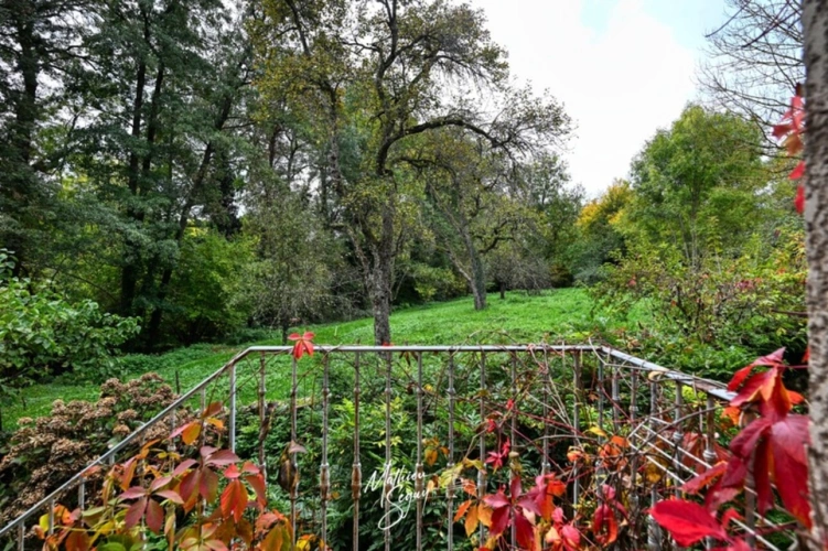 Photos 53 - Prestige - Ancien Moulin sur 1,3 Ha de terrain à MESSIMY (69)