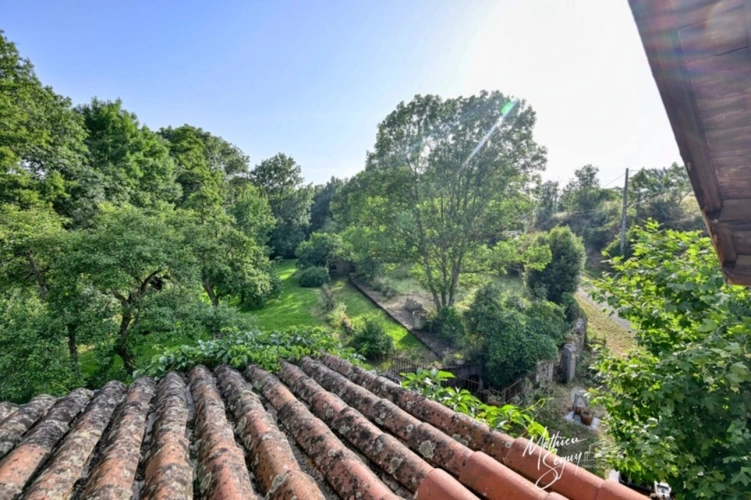 Photos 69 - Prestige - Ancien Moulin sur 1,3 Ha de terrain à MESSIMY (69)