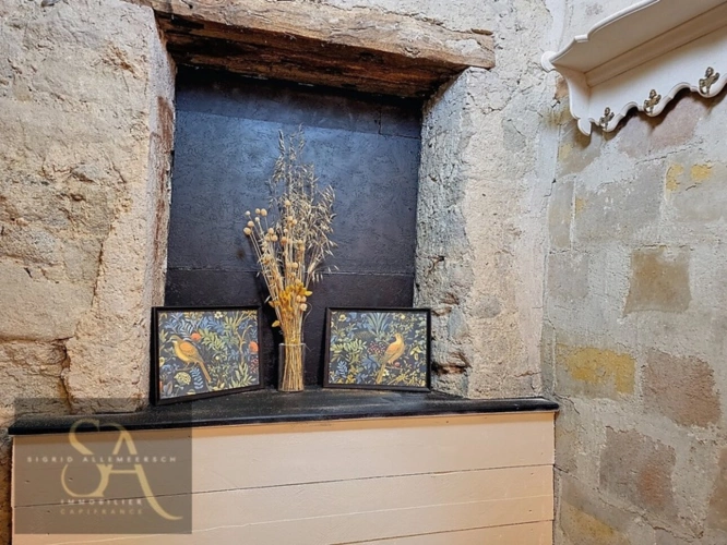 Photos 26 - Prestige - Propriete à vendre 8 pièces VILLASAVARY (11)