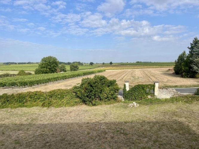 Photos 2 - Prestige - Maison de maître