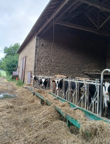 Photos 2 - Agricole - Exploitation agricole laitière avec possibilité autre activité.