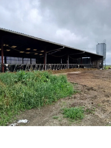 Photos 3 - Agricole - Exploitation agricole laitière avec possibilité autre activité.