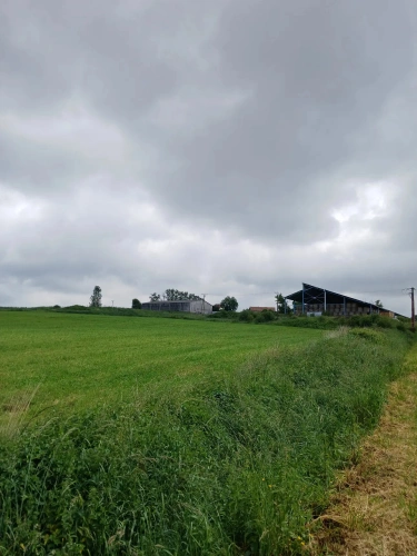 Photos 4 - Agricole - Exploitation agricole laitière avec possibilité autre activité.