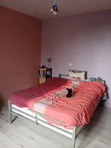 Photos 9 - Agricole - Exploitation agricole laitière avec possibilité autre activité.