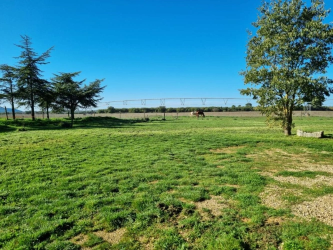 Photos 2 - Prestige - PROPRIETE  DE 500 M2  SUR 6 HECTARES