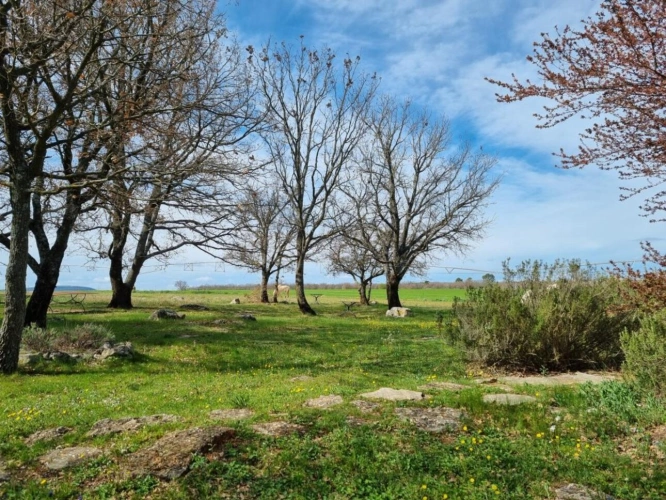 Photos 14 - Prestige - PROPRIETE  DE 500 M2  SUR 6 HECTARES