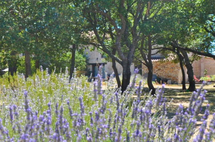 Photos 18 - Prestige - PROPRIETE  DE 500 M2  SUR 6 HECTARES