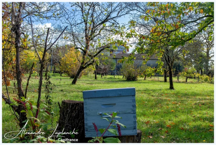 Photos 19 - Prestige - Dpt Tarn et Garonne (82), à vendre domaine en bordure de Tarn - Authentique Maison de Maître des années 30 par Joseph GILET