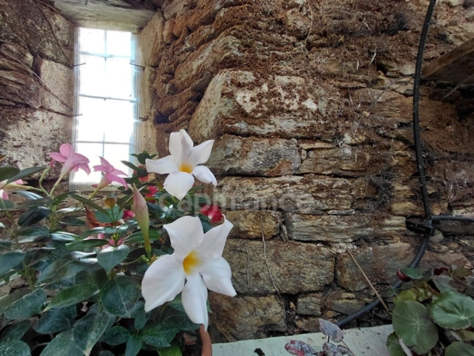 Photos 30 - Touristique - Propriété du XV siècle - Sur les hauteurs du Lot - Chambres d'hôtes