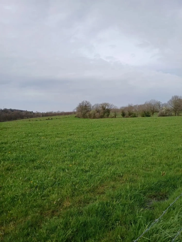 Photos 1 - Foncière - Un lot de 10 hectares de terres avec une vieille batisse