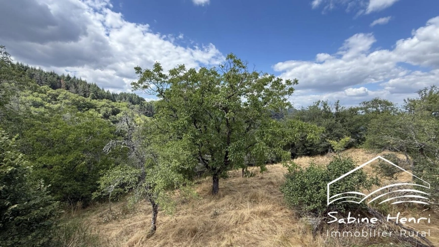 Photos 18 - Touristique - Ferme sur 7 hectares