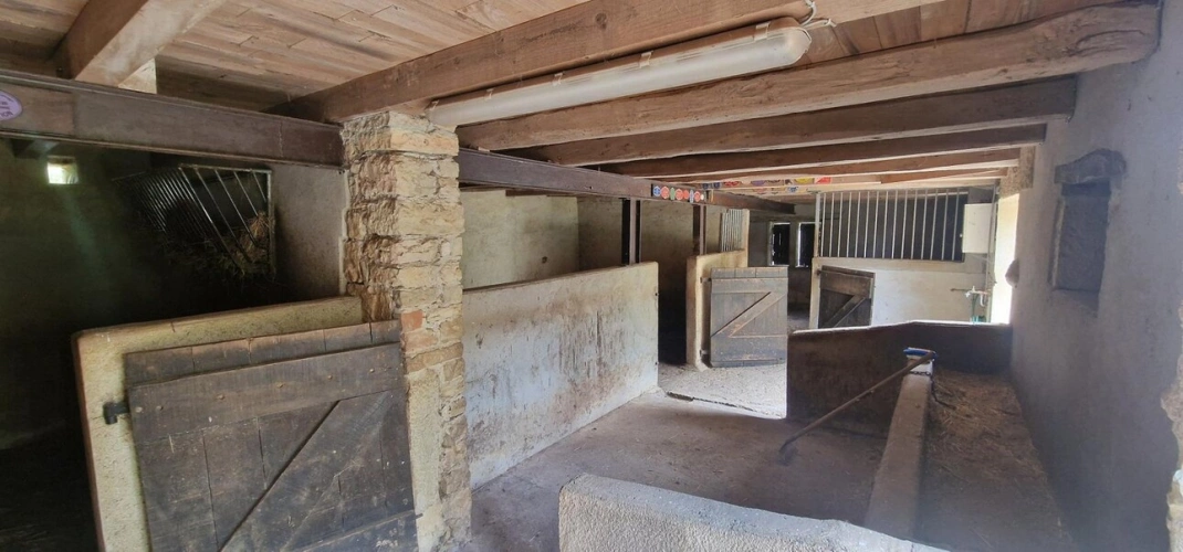 Photos 8 - Prestige - Propriété