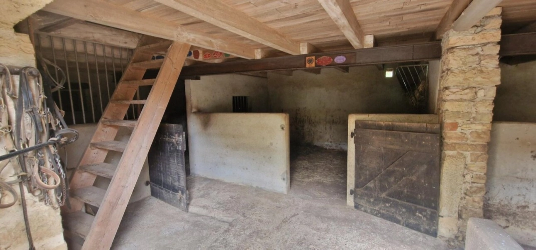 Photos 14 - Prestige - Propriété