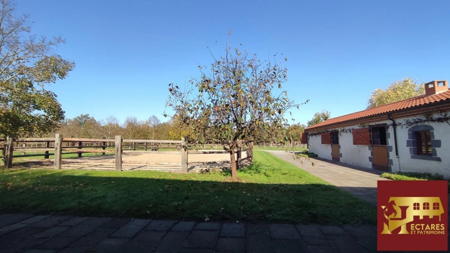 Photos 3 - Équestre - Propriété équestre d'exception 4 hectares