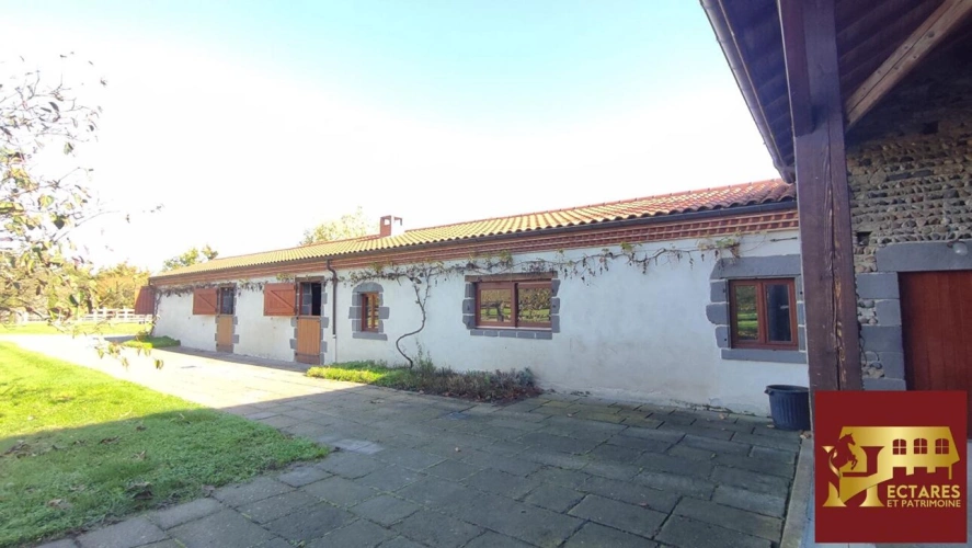 Photos 14 - Équestre - Propriété équestre d'exception 4 hectares