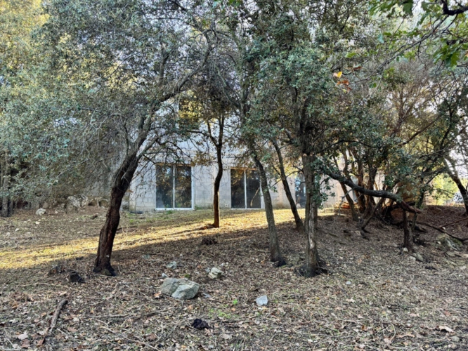 Photos 7 - Prestige - Terrain 3250 m2 avec batiment de 200m2 à vendre, proche de L'ILE ROUSSE (20)