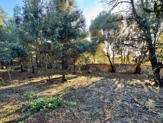 Photos 8 - Prestige - Terrain 3250 m2 avec batiment de 200m2 à vendre, proche de L'ILE ROUSSE (20)