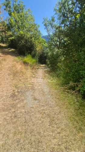 Photos 8 - Touristique - Grange à vendre  VIELLE AURE (65)