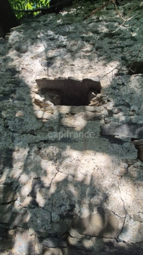 Photos 11 - Touristique - Grange à vendre  VIELLE AURE (65)