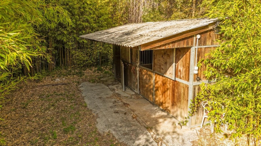 Photos 8 - Équestre - Propriété équestre d'exception à Saint-Raphaël (83)