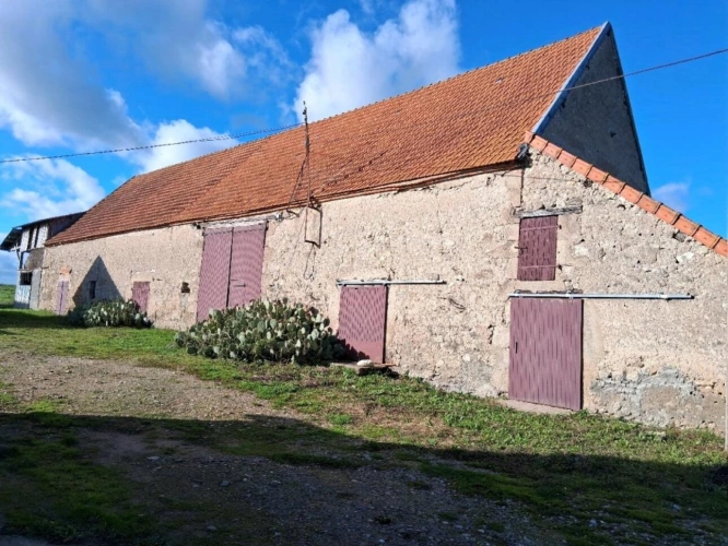 Photos 12 - Agricole - ALLIER