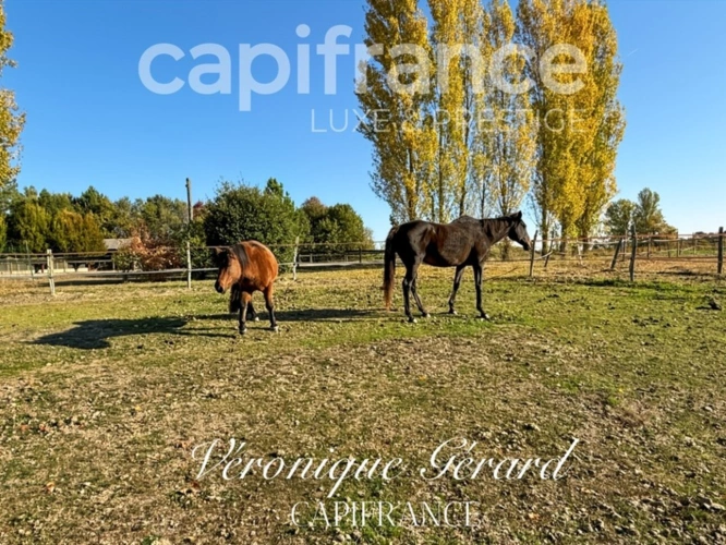 Photos 6 - Équestre - Propriété Equestre sur plus de 4 hectares avec habitation de 137 M²