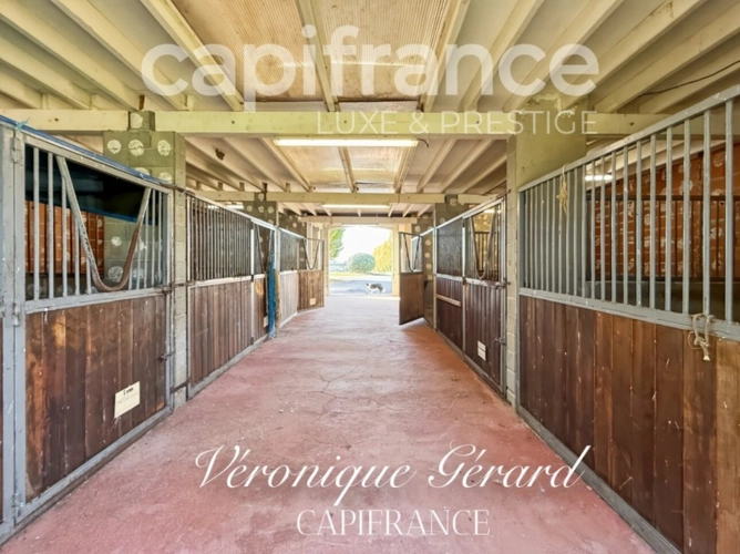 Photos 18 - Équestre - Propriété Equestre sur plus de 4 hectares avec habitation de 137 M²
