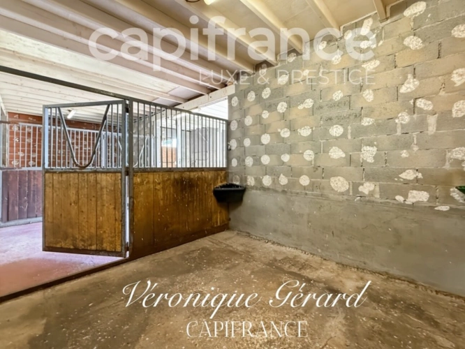 Photos 19 - Équestre - Propriété Equestre sur plus de 4 hectares avec habitation de 137 M²