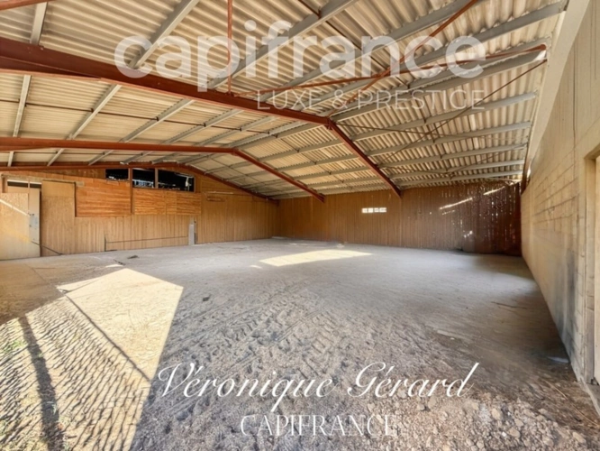 Photos 20 - Équestre - Propriété Equestre sur plus de 4 hectares avec habitation de 137 M²