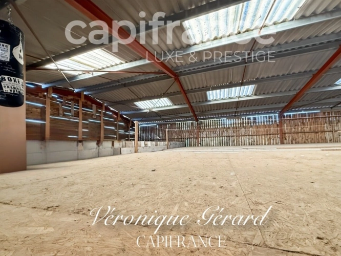 Photos 21 - Équestre - Propriété Equestre sur plus de 4 hectares avec habitation de 137 M²